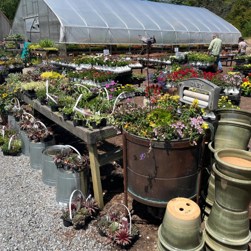Garden center