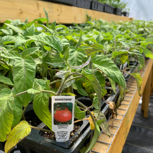Garden center