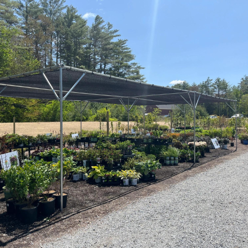 Garden center