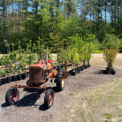 Garden center