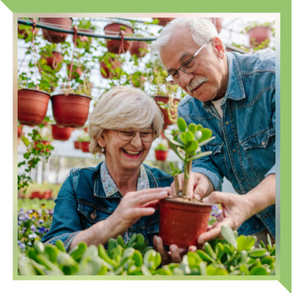 Lawn & Garden SuppliesCouple looking at plants