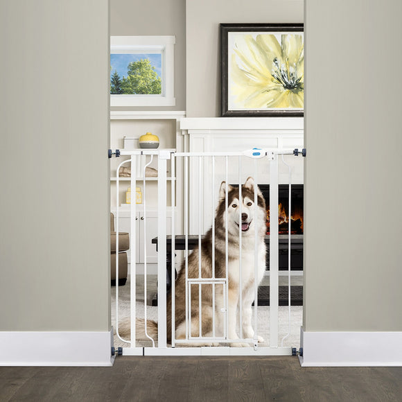 Carlson Extra Tall Pet Gate