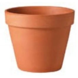 Terra Cotta Clay Pot, Standard, 12-In.