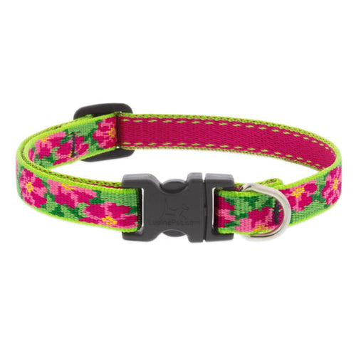 Lupine Pet Original Designs Dog Collar