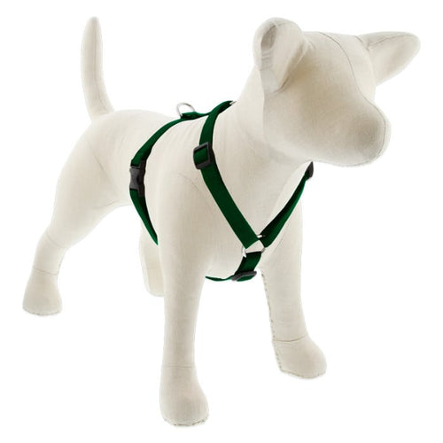 Lupine Pet Basic Solids Roman Dog Harness