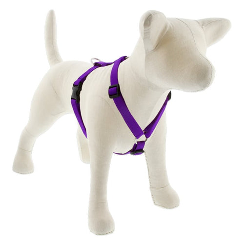 Lupine Pet Basic Solids Roman Dog Harness