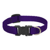 Lupine Pet Basic Solids Dog Collar