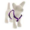 Lupine Pet Basic Solids Roman Dog Harness