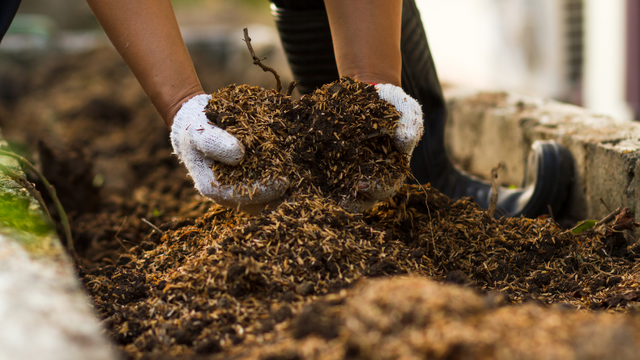 Mulch