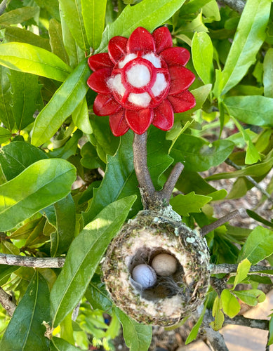 QuackUps Hummingbird Home™ with Nesting Fibers (5.5)