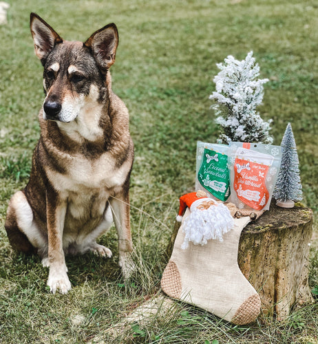 The Lazy Dog Coconut Snowballs Stocking (5 oz)