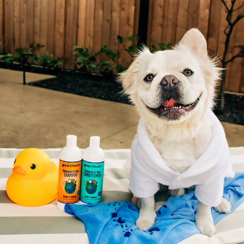 Earthbath Vanilla & Almond Oatmeal & Aloe Conditioner for Dogs and Cats
