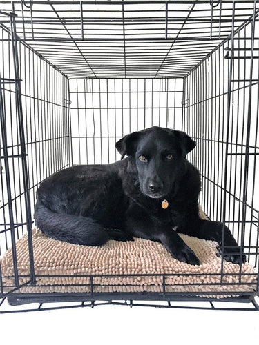 Soggy Doggy Crate Mate