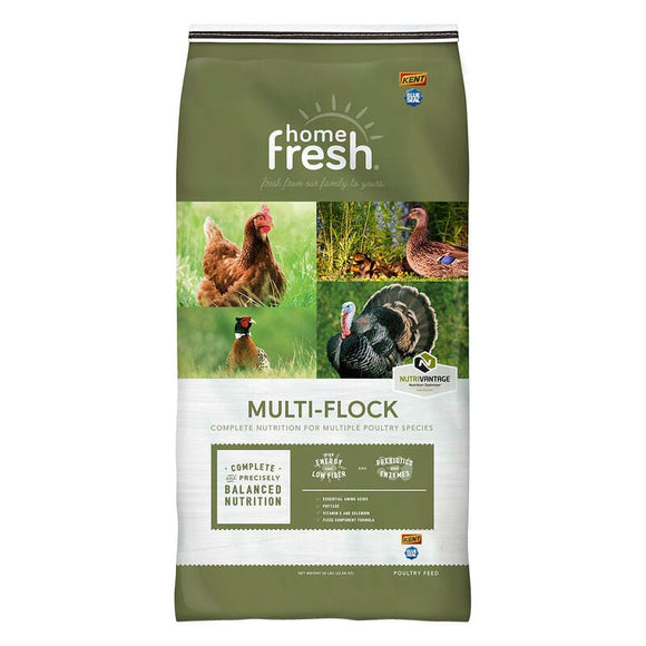 Blue Seal Home Fresh Multi-Flock Starter Crumbles AMP