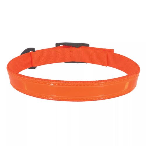 Coastal Pet Products Water & Woods Double-Ply Reflective Hound Dog Collar (Medium - 1 x 20, Orange)