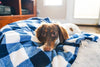 Tall Tails Navy Hunter's Plaid Dog Blanket (30 x 40)