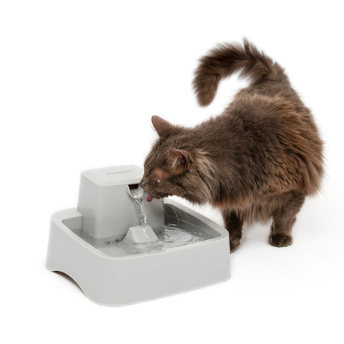 PetSafe Drinkwell® ½ Gallon Pet Fountain (½ Gallon)