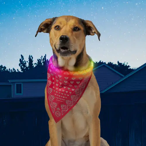 Nite Ize NiteHowl® Bandana Rechargeable LED Safety Necklace - Disc-O Select