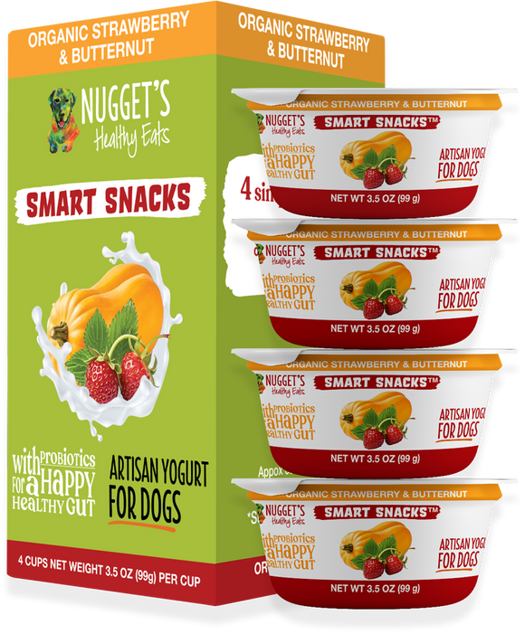 Nugget's Healthy Eats Frozen Smart Snacks Artisan Yogurt Strawberry & Butternut for Dogs
