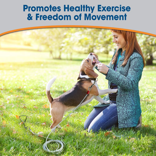 Four Paws Dog Super Tie Out Cable