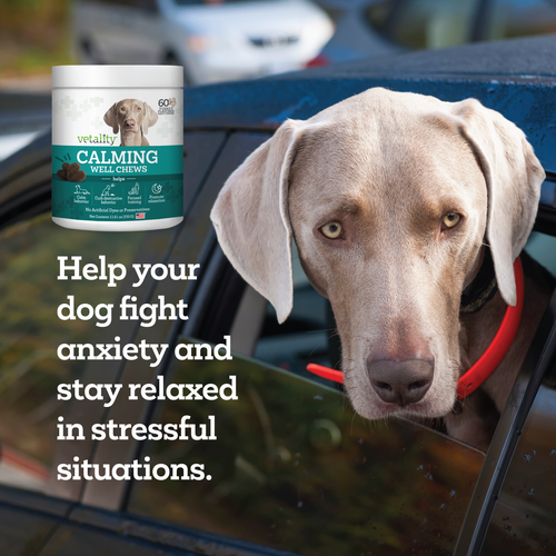 Tevra Brands Vetality Calming Well Chews for Dogs