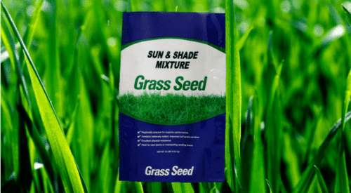 Seedway Sun & Shade Mixture