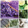 A Cheerful Giver 34 oz Lavender Vanilla