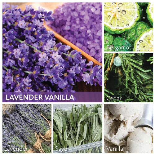 A Cheerful Giver 34 oz Lavender Vanilla