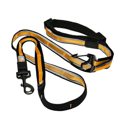 Kurgo Quantum 6-in-1 Dog Leash