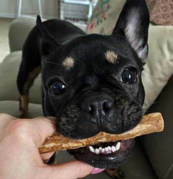 Whimzees Veggie Sausage Dental Chew Dog Treats