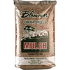 Florida Cocoa Shell