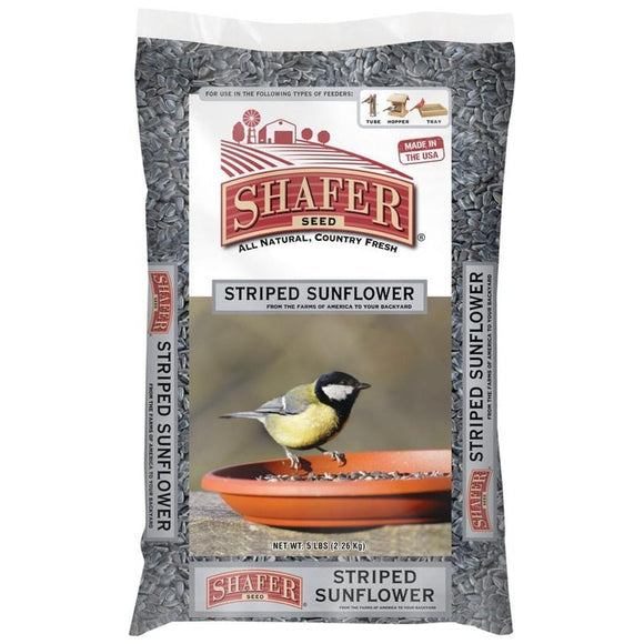 SHAFER STRIPED SUNFLOWER (5 lb)